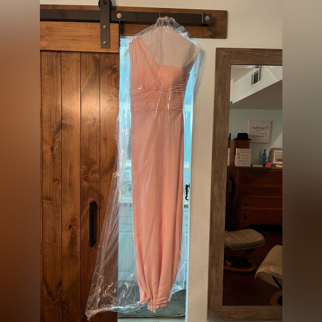 Bari Jay Bridesmaid/Formal Dress